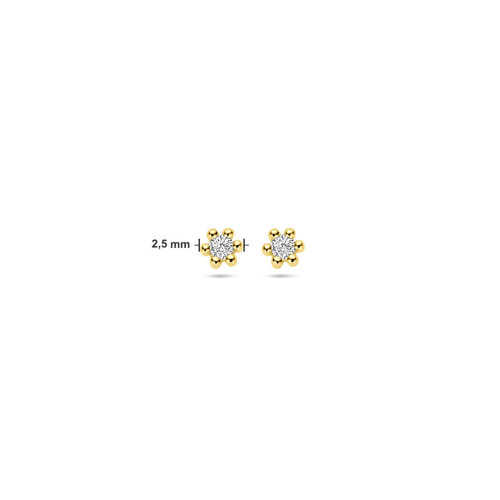 Ohrstecker Diamant 0,04 ct (2x 0,02 ct) h p1 14K Gelbgold