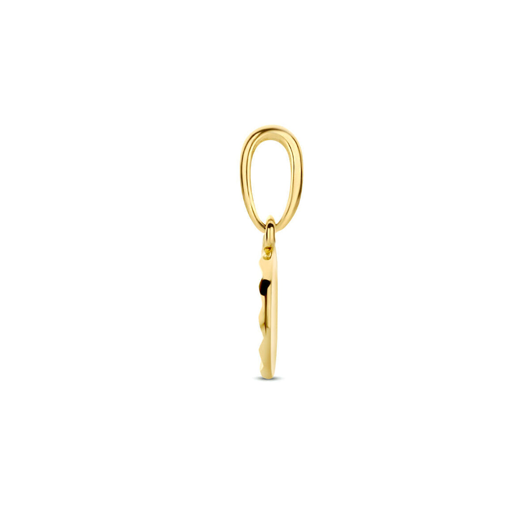 Anhänger rund, diamantiert, 14K Gelbgold