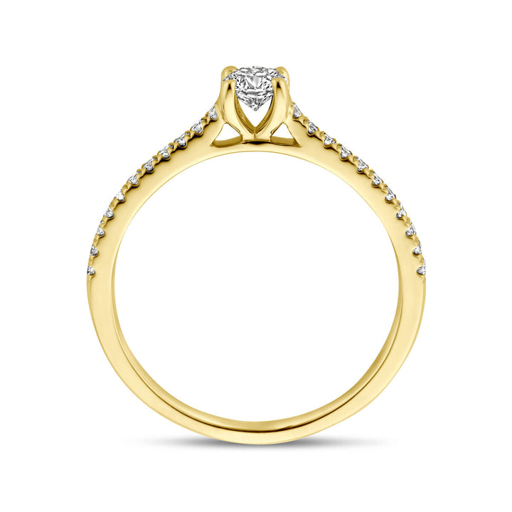 De Van der Kooij Collectie ring lab-grown diamant 0,39ct h si 14K geelgoud is voorzien van een solitaire ronde lab-grown diamant in griffenzetting, met kleine diamanten langs de band - een modern damessieraad, gezien vanaf de zijkant.