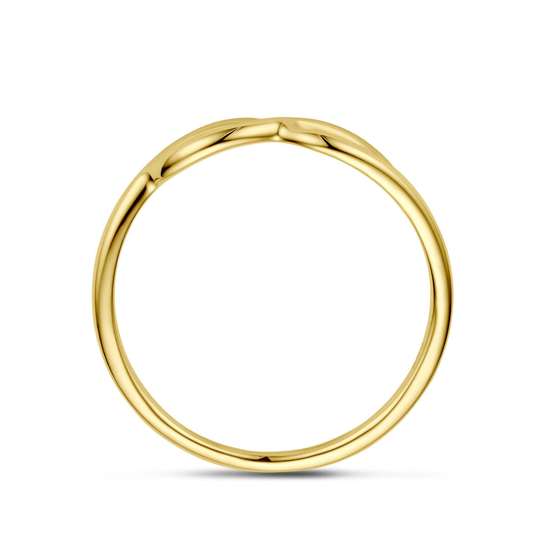 Ring Unendlichkeit 14K Gelbgold