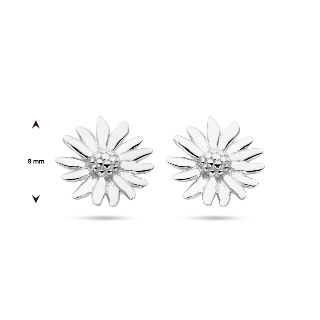 Gänseblümchen-Ohrstecker, Silber rhodiniert