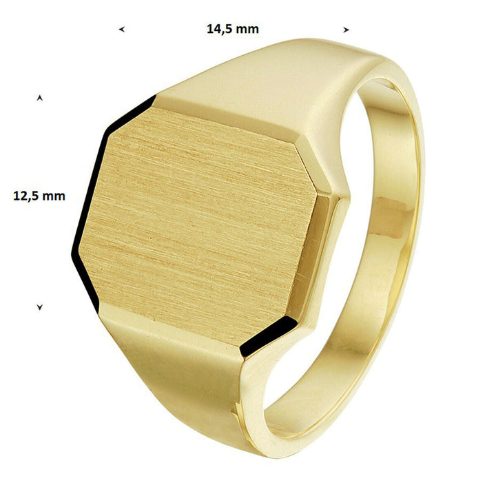 De Van der Kooij Collectie graveerring massief mat gediamanteerd 14K geelgoud heeft een geborsteld hexagonaal vlak van 14,5 mm breed en 12,5 mm hoog, overvloedig op een witte achtergrond.