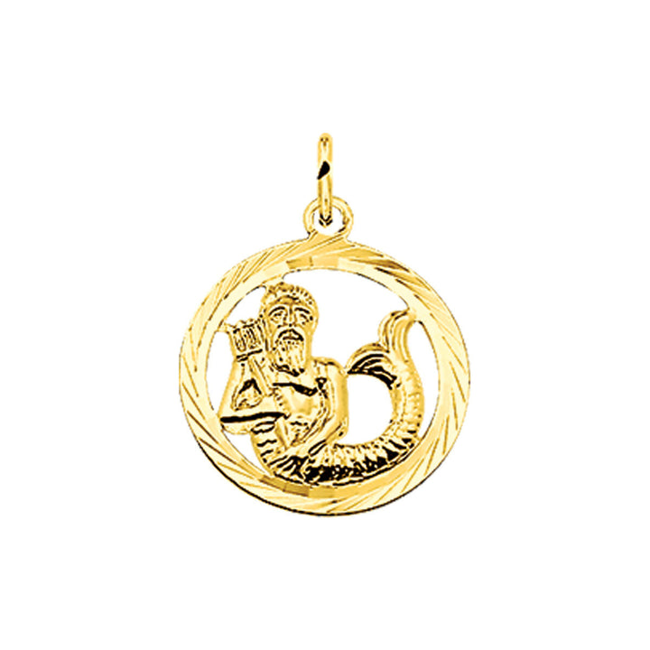Van der Kooij Collectie hanger sterrenbeeld gediamanteerd 14K geelgoud: goudkleurige uniseks hanger met horoscoopdesign en fijne afwerking, ideaal als sfeervol sterrenbeeld sieraad voor aan een ketting.