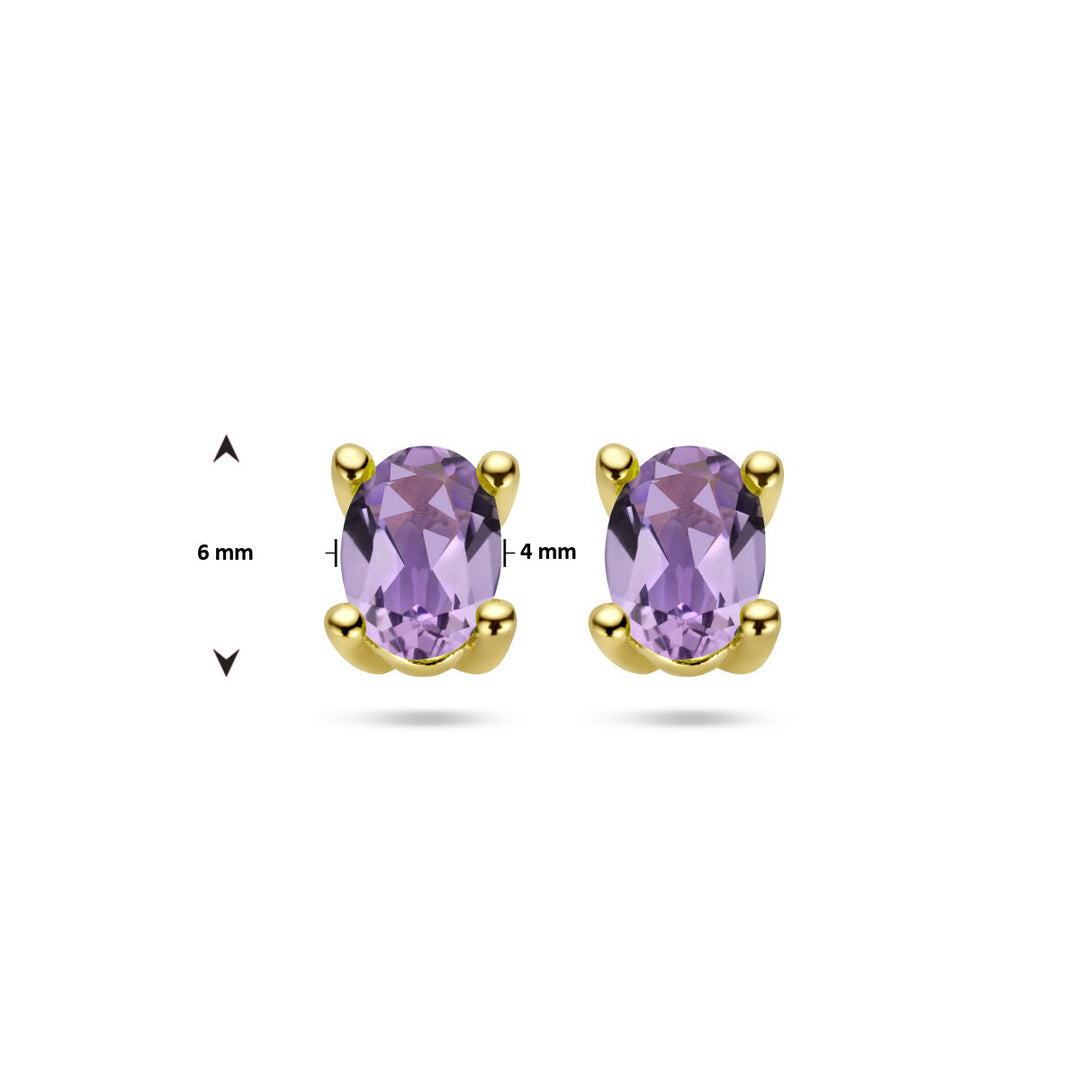 De Van der Kooij Collectie oorknoppen amethist 14K geelgoud zijn elegante dames sieraden met ovaal geslepen amethist (6x4 mm) in gouden vierpootzetting.