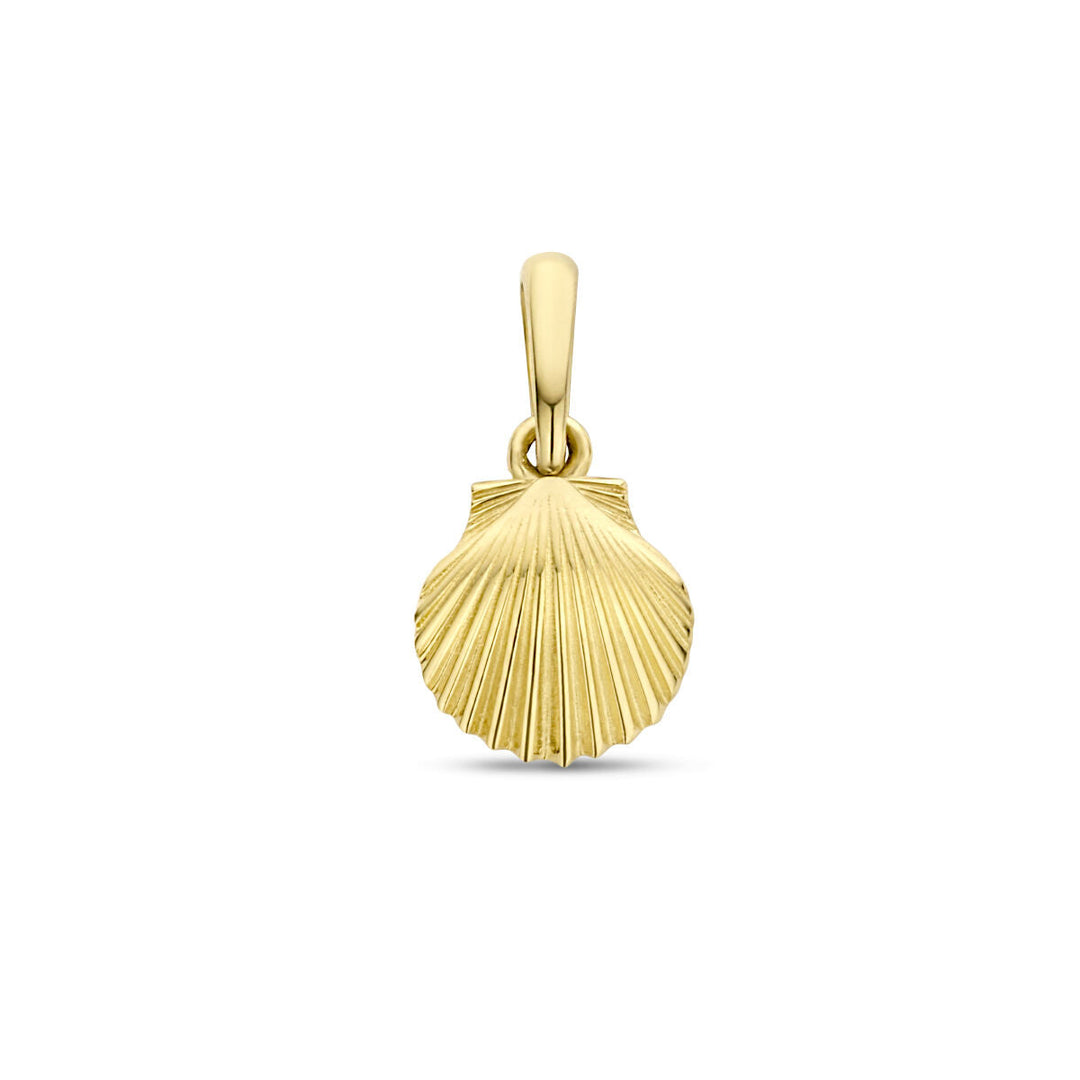 Anhänger Muschel 14K Gelbgold