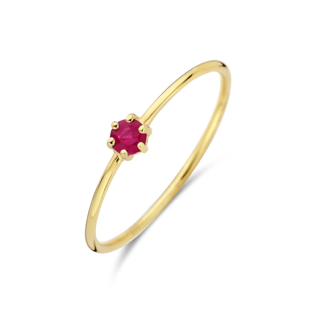 De Van der Kooij Collectie ring met geboortesteen robijn juli 14K geelgoud is een delicate geelgouden ring met een kleine ronde robijn in een zetting met zes ringen, prachtig weergegeven op een witte achtergrond.
