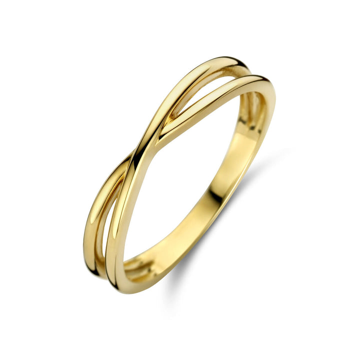 De chromosomenring 14K geelgoud uit de Van der Kooij Collectie heeft een modern design met twee verweven banden die samen een open oneindigheidssymboolvormen – de perfecte mix van tijdloze stijl en verfijning.
