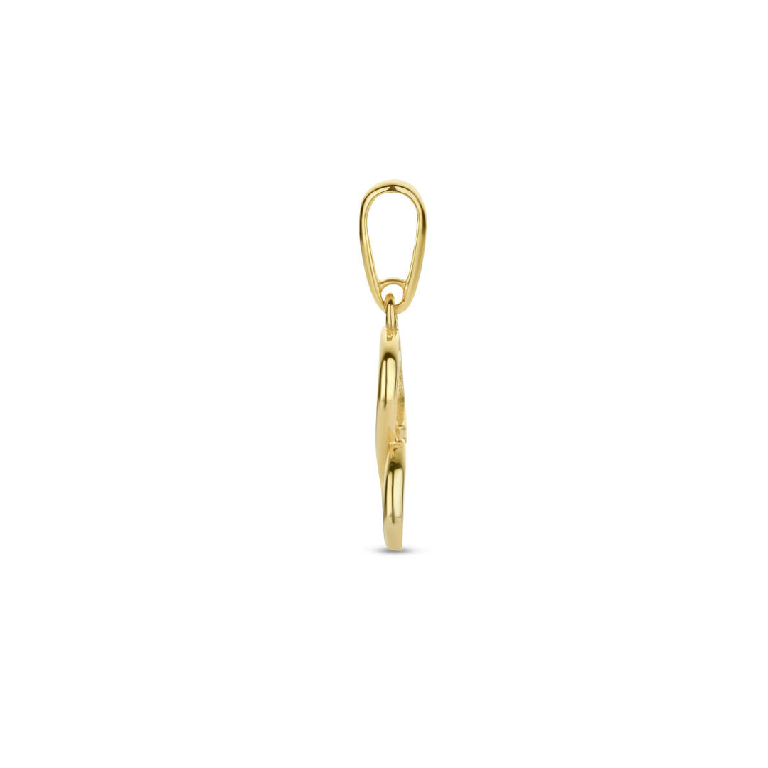 Zijaanzicht van de Van der Kooij Collectie hanger infinity 14K geelgoud in een elegante ovale vorm met een bovenlus voor kettingen, getoond op een witte achtergrond. Een perfect dames sieraad of vriendschap cadeau.