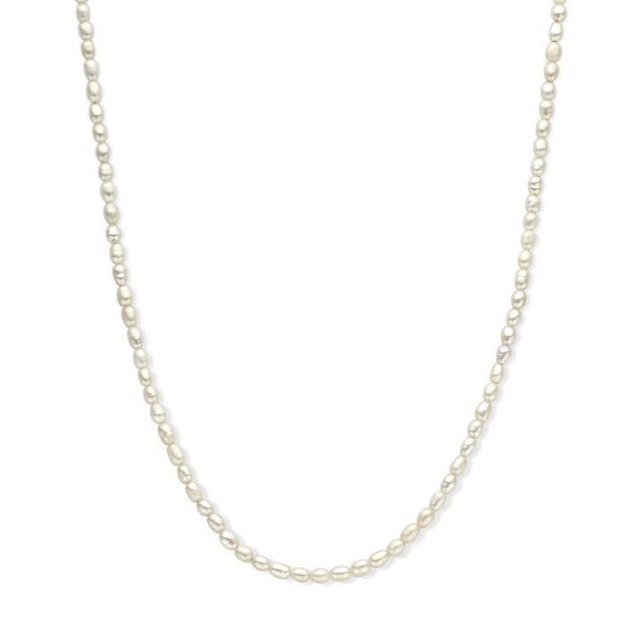 Halskette Perle 3,8 mm 50 + 5 cm Silber rhodiniert