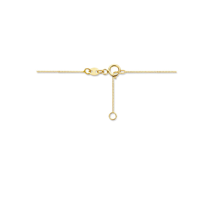 De Van der Kooij Collectie collier bol 40 + 1,5 cm, uitgevoerd in 14K geelgoud, heeft een karabijnsluiting en een verstelbare verlengketting met een klein rond lusje, afgebeeld op een witte ondergrond.