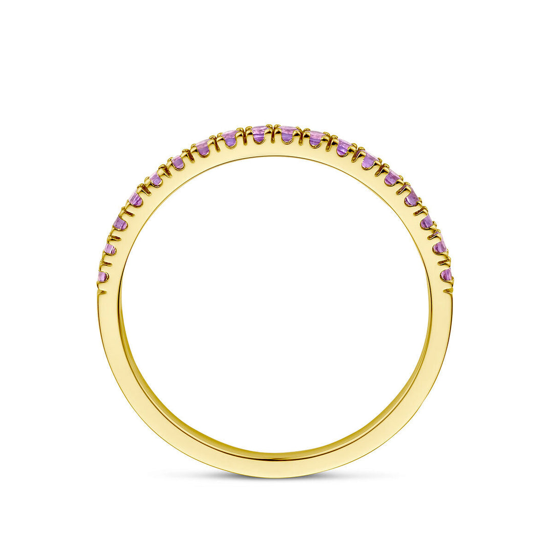 De Van der Kooij Collectie ring met geboortesteen amethist februari in 14K geelgoud heeft kleine paarse stenen aan de bovenkant van de band. Perfect als geboortesteencadeau.