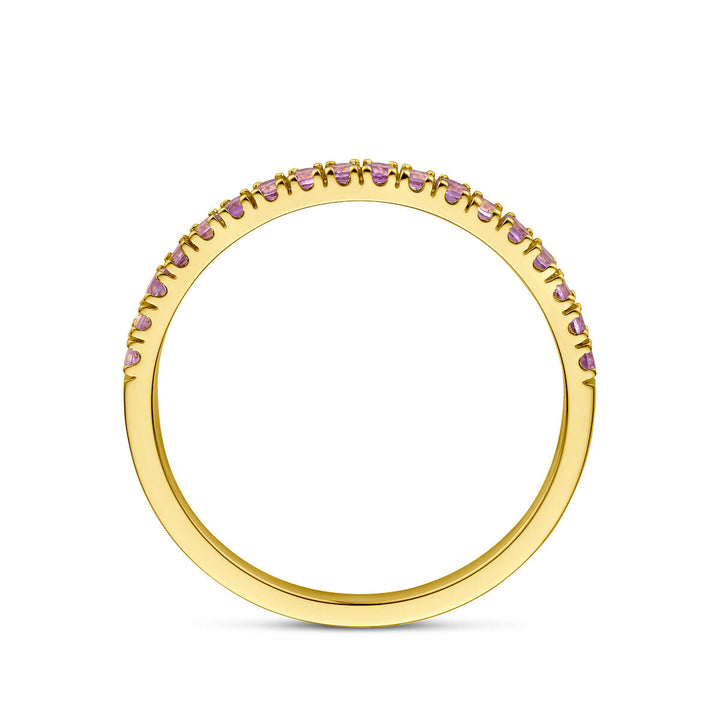 De Van der Kooij Collectie ring met geboortesteen licht amethist juni 14K geelgoud is een delicate 14k gouden ring met een rij lichte amethist edelstenen langs de bovenkant, weergegeven op een witte achtergrond.