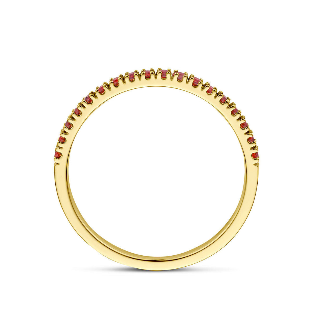 De Van der Kooij Collectie ring met geboortesteen granaat januari is een delicate 14K geelgouden damesring, met kleine rode granaten langs de bovenzijde, getoond van opzij tegen een witte achtergrond.