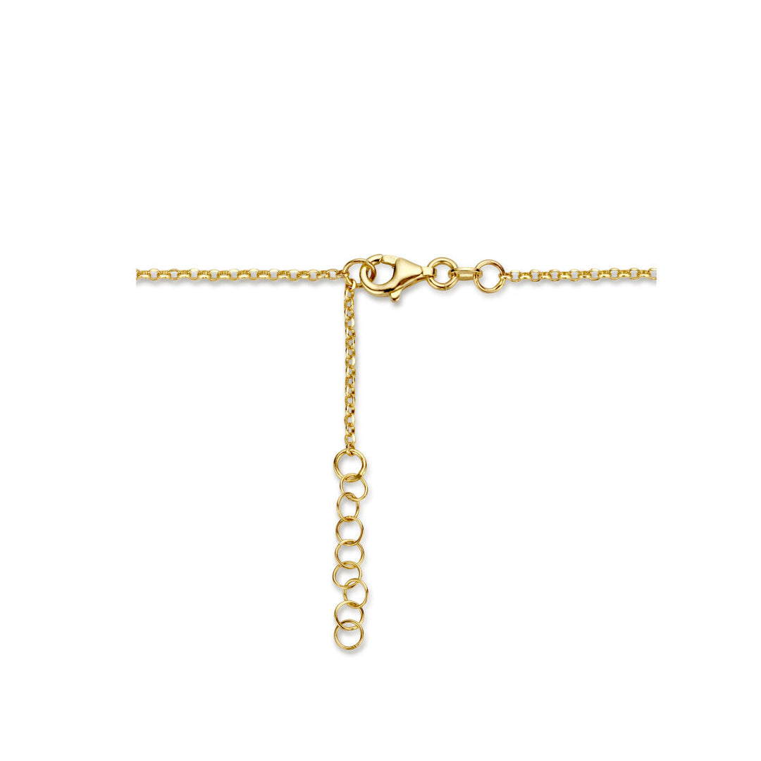 Kombinationshalskette Jasseron und Büroklammer 3,5 mm 42 + 2 cm 14K Gelbgold