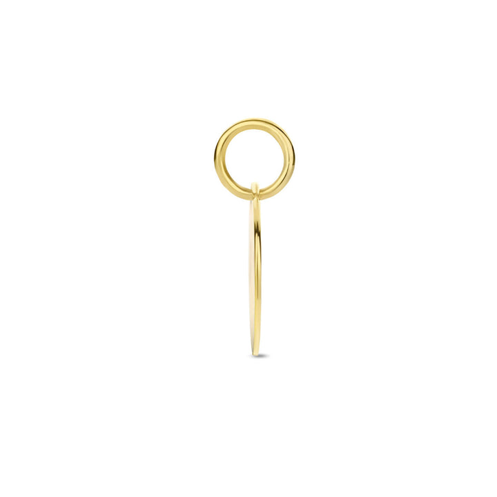 Gravuranhänger rund 14K Gelbgold
