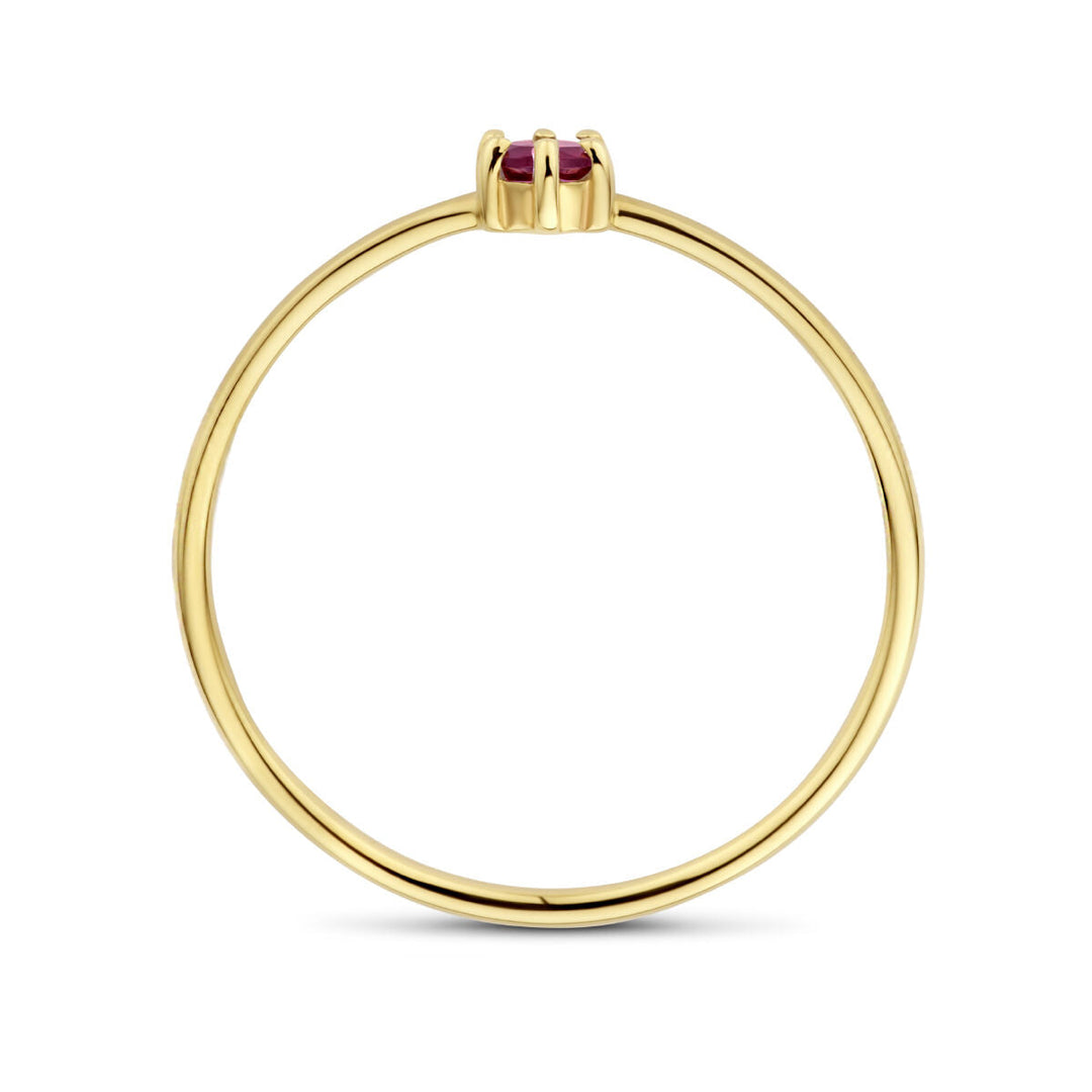 Ring mit Geburtsstein Granat 14. JanuarK Gelbgold