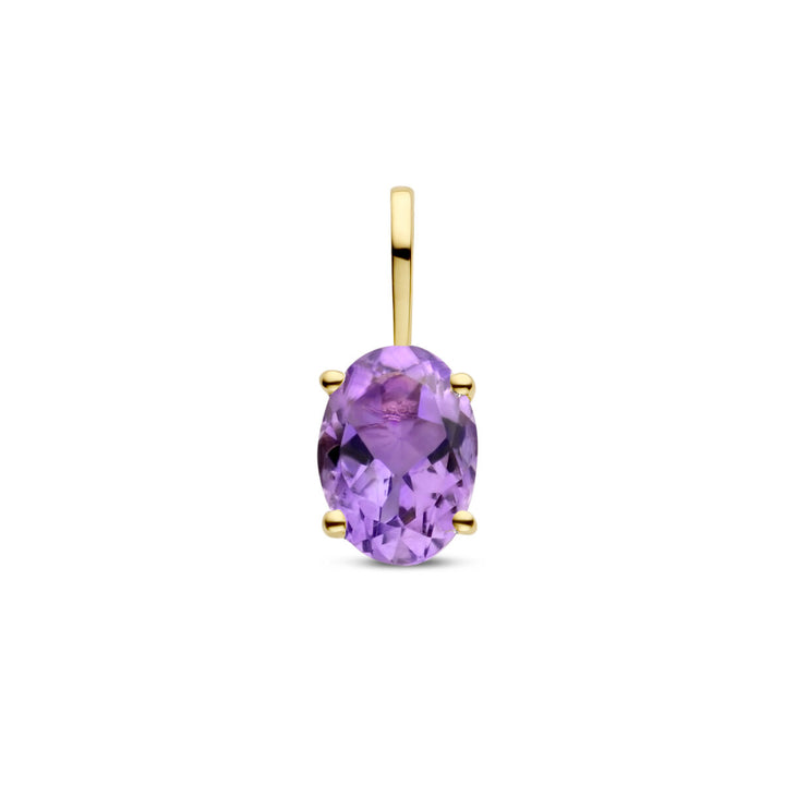 Anhänger mit Geburtsstein 14K Gelbgold