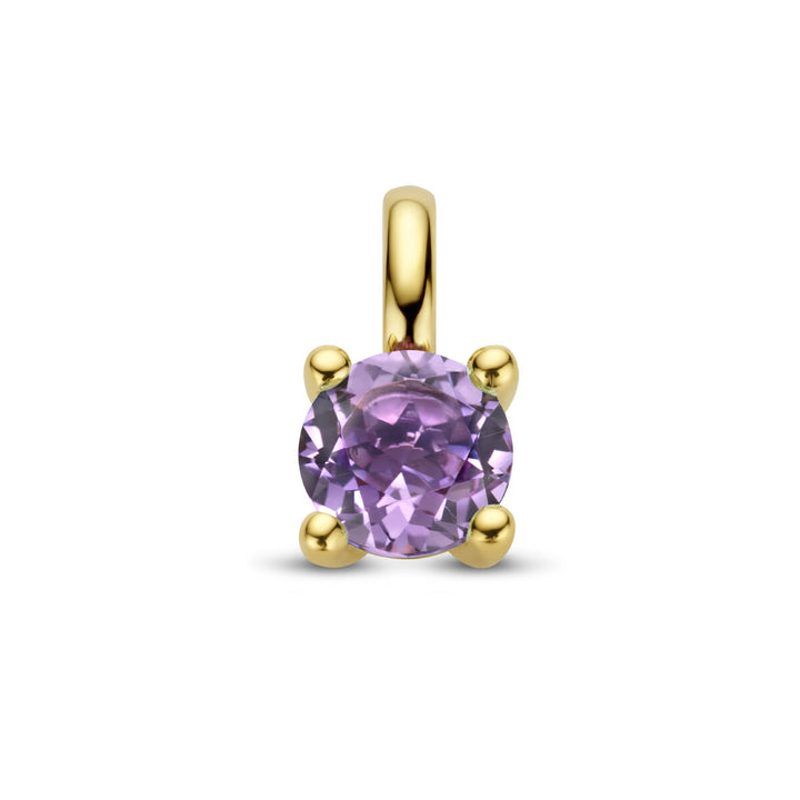 Anhänger Amethyst 14K Gelbgold