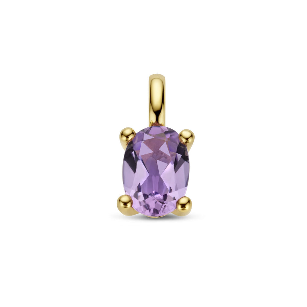 De Van der Kooij Collectie hanger amethist 14K geelgoud toont een lichtpaarse ovale amethist in vier pootjes, ideaal voor dames sieraden, afbeeldingen tegen een witte achtergrond.