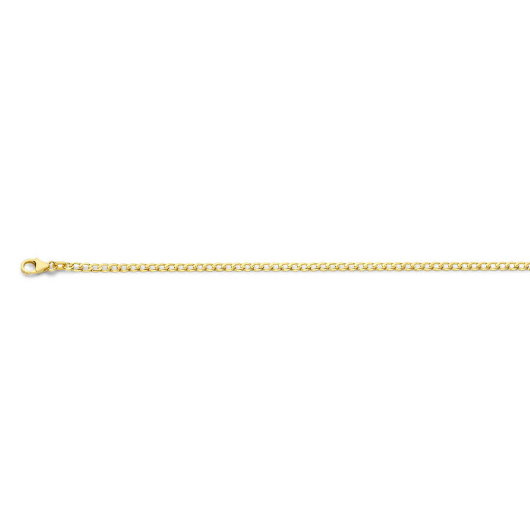 De Van der Kooij Collectie gourmette 6-zijdes geslepen 2,6 mm 14K geelgoud armband heeft een dunne gouden ketting met gourmette schakels en een kleine karabijn sluiting, afgebeeld op een effen witte achtergrond.