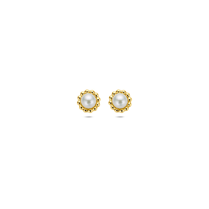 oorknoppen parel 14K geelgoud