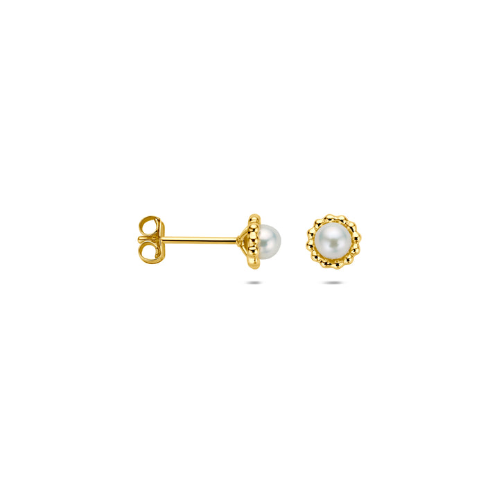 oorknoppen parel 14K geelgoud