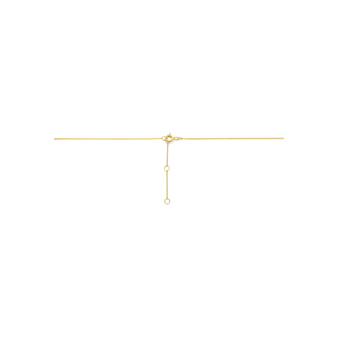 collier 14K geelgoud