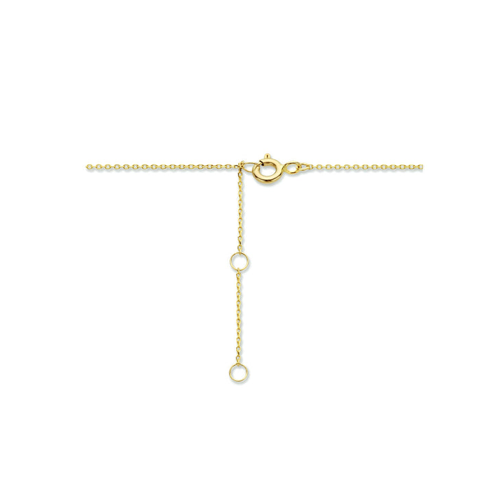 Halskette Kreise 40 - 42 - 44 cm 14K Gelbgold