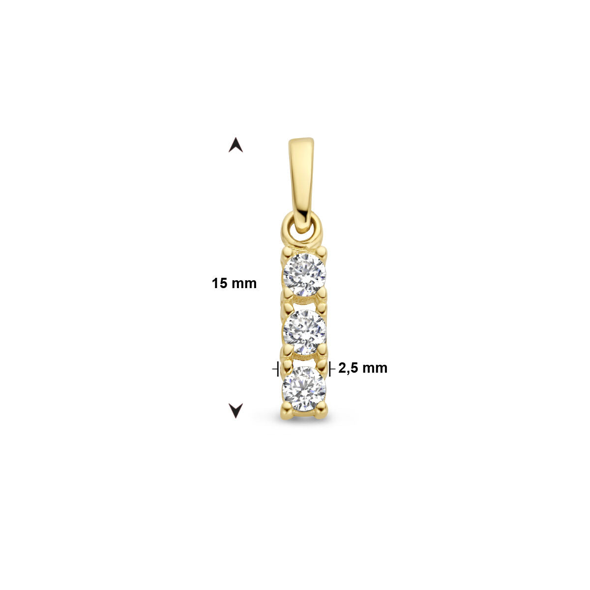 Anhänger Zirkonia 14K Gelbgold