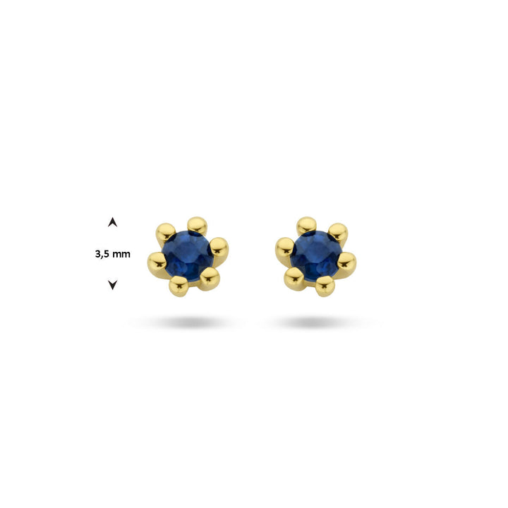 Van der Kooij Collectie oorknoppen saffier 14K geelgoud: ronde blauwe saffieren in het midden, vastgezet met zes gouden pootjes en een diameter van 3,5 mm voor tijdloze elegantie.