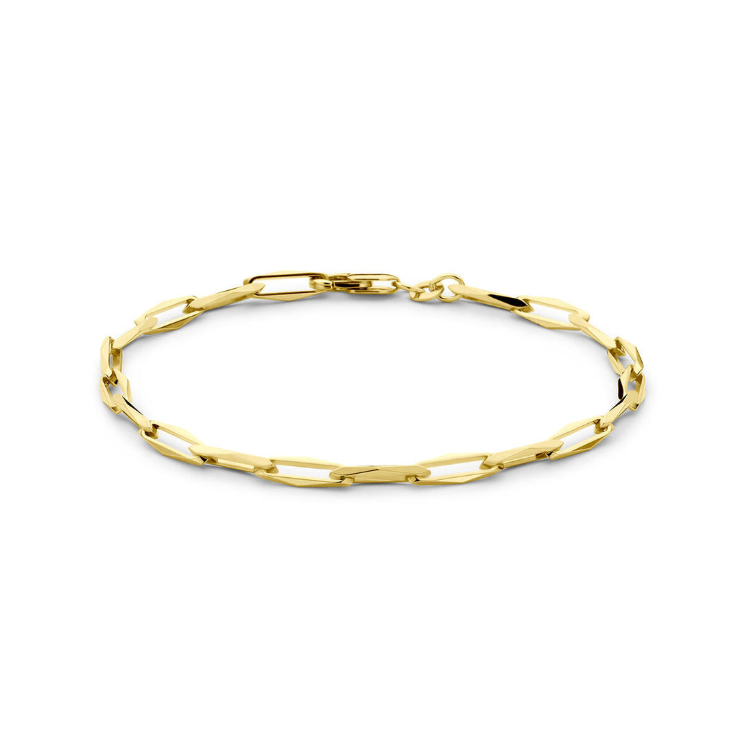 Van der Kooij Collectie armband gesloten voor altijd 4,0 mm massief 14K geelgoud, met elegante paperclip schakels, getoond op een witte achtergrond.
