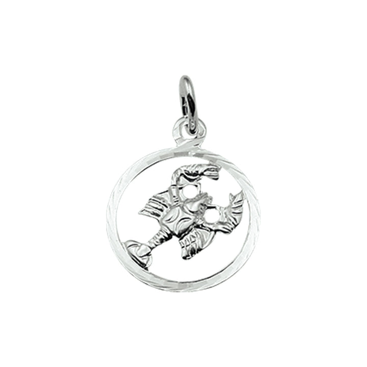 Een opvallend stuk van Van der Kooij Collectie, de hanger sterrenbeeld gediamanteerd zilver wit schittert in zilver met een gedetailleerd dierenriem ontwerp, perfect als een elegant unisex accessoire dat jouw sterrenbeeld symboliseert.