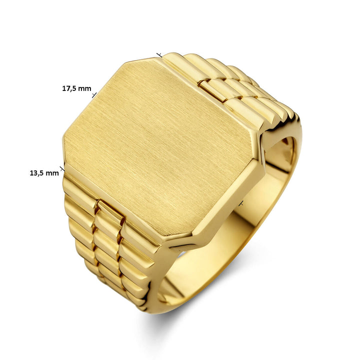 De Van der Kooij Collectie graveer gematteerd 14K geelgoud is een stoere herenring met een zeshoekige, geborstelde bovenkant (17,5 x 13,5 mm) en een stoere, geribbelde band.