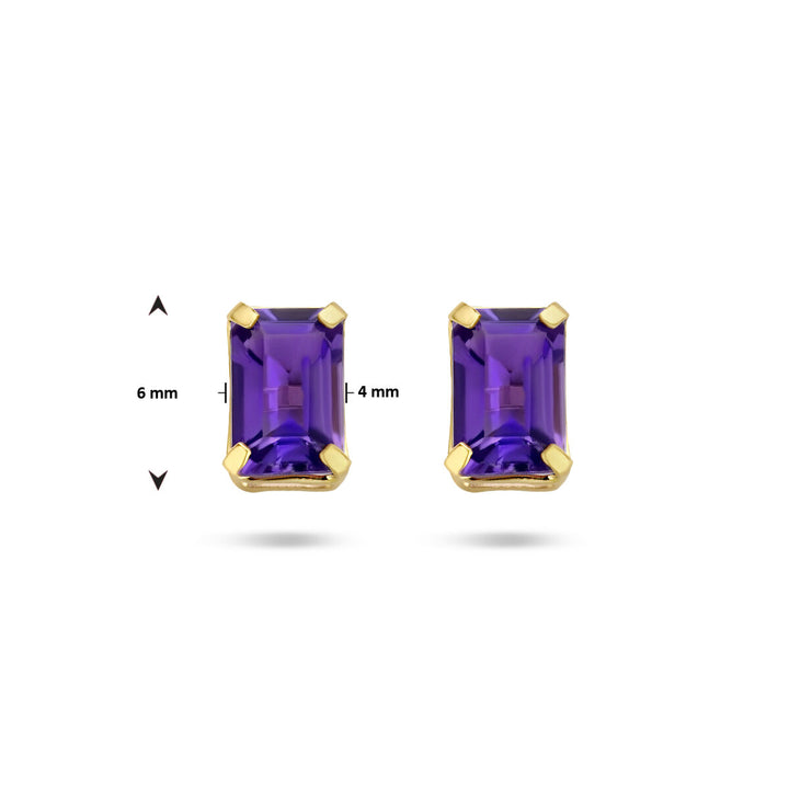 Van der Kooij Collectie oorknoppen amethist 14K geelgoud: rechthoekige dames oorbellen met paarse amethist (6x4 mm) en gouden zetting, gepresenteerd op een witte achtergrond met maatstrepen.