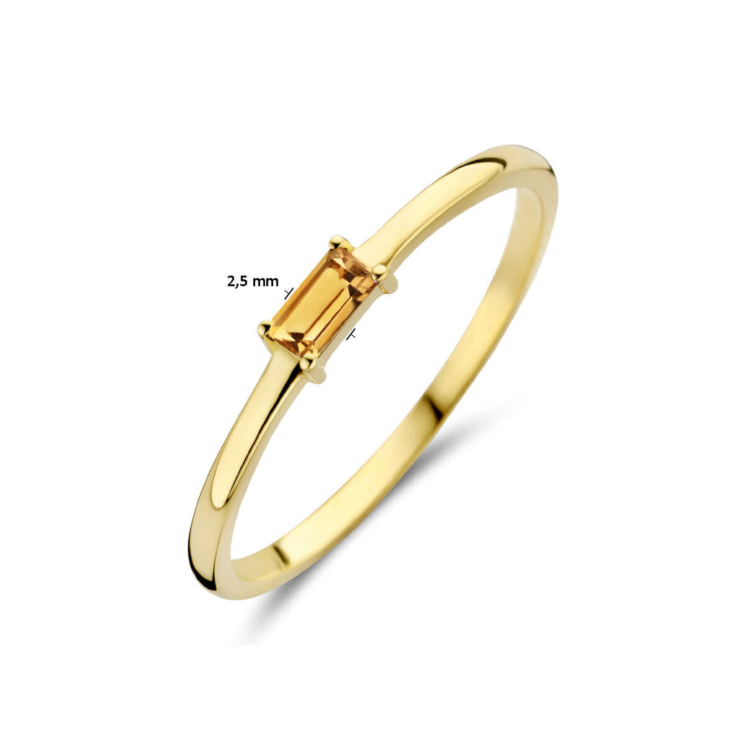 De Van der Kooij Collectie ring met geboortesteen citrien november is gemaakt van 14K geelgoud, heeft een baguette citrien van 2,5 mm als middelpunt en wordt getoond op een witte achtergrond.