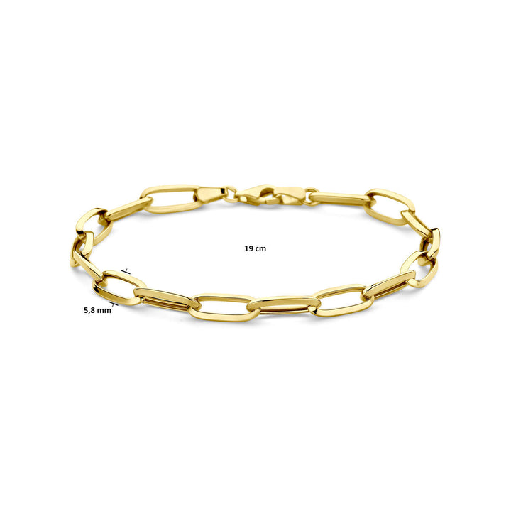 De Van der Kooij Collectie armband closed forever heeft 5,8 mm langwerpige ovale schakels in 14K geelgoud, is 19 cm lang en is afgebeeld op een witte achtergrond.