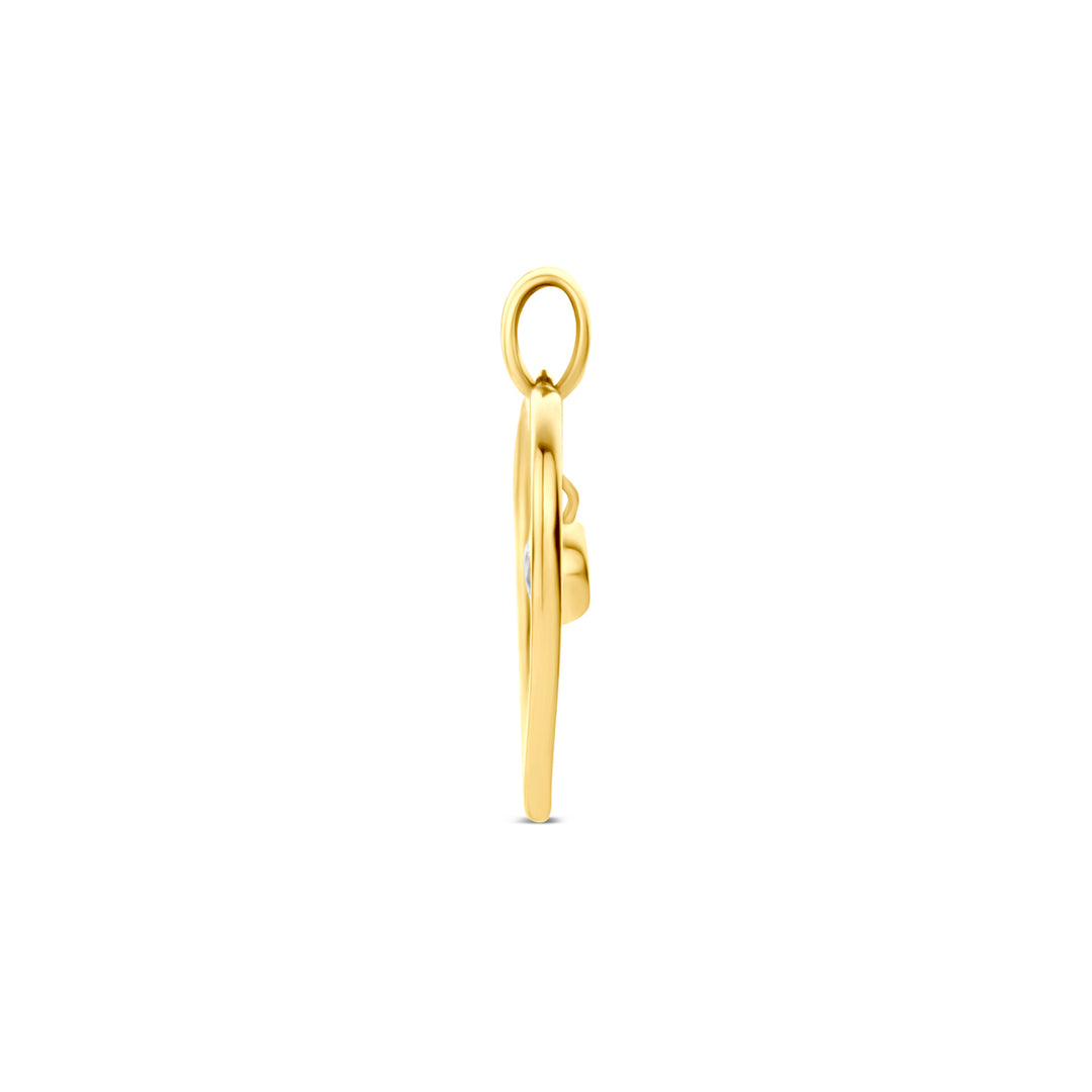 9k hanger hart zirkonia 9K geel