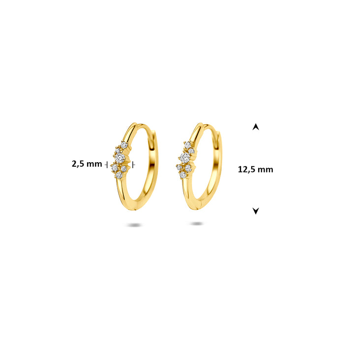 9k klapoorringen zirkonia 9K geel