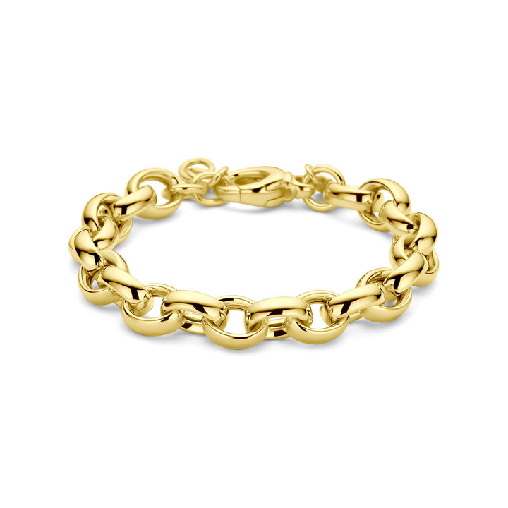 De Van der Kooij Collectie armband ovaal jasseron 9,5 mm (19,5 cm), 3 micron geel zilver verguld, heeft gedurfde in elkaar grijpende schakels en een karabijnsluiting - ideaal voor dames die op zoek zijn naar statement elegantie. Weergegeven op een witte achtergrond.