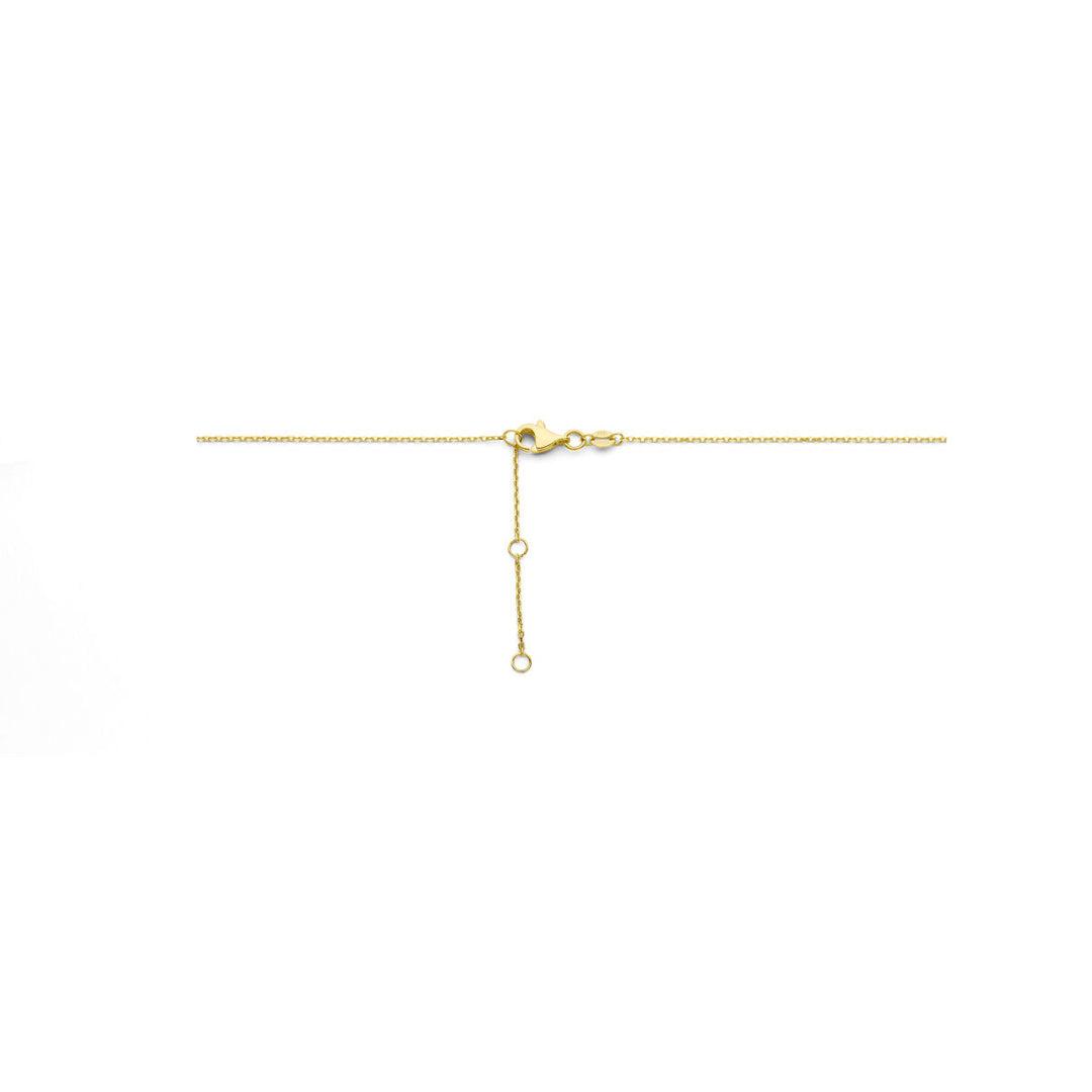 De Van der Kooij Collectie Gouden dames ketting hartjes 14K is een delicaat gouden collier met hartjesbedels, verstelbaar via een verlengstuk met twee lussen en een karabijnsluiting, afgebeeld op een effen witte ondergrond.