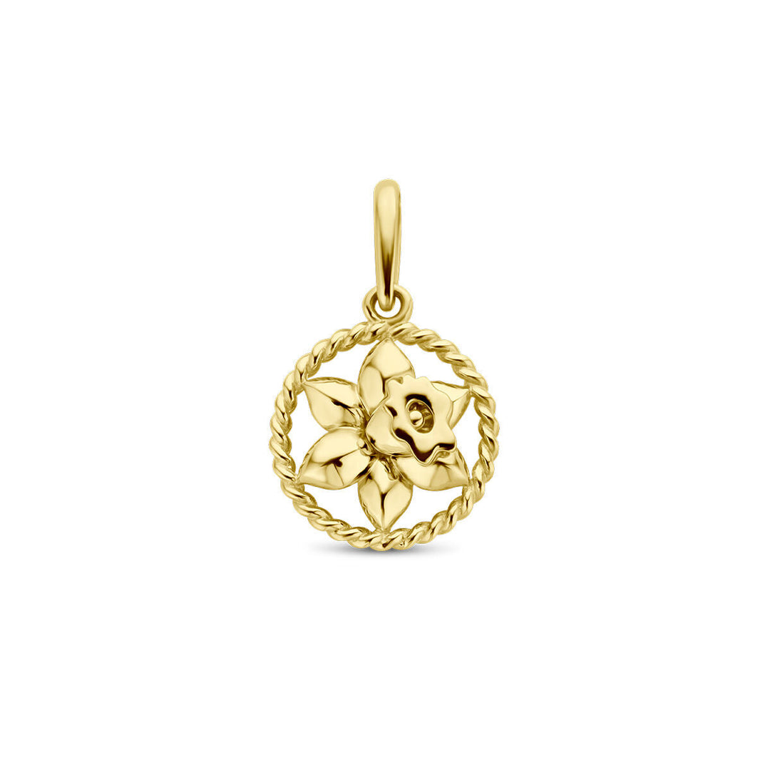 De hanger met geboortebloem 14K geelgoud uit de Van der Kooij Collectie toont een gedetailleerde narcis in een gedraaide touw-stijl cirkel, perfect voor liefhebbers van luxe sieraden. Geplaatst op een effen witte achtergrond.