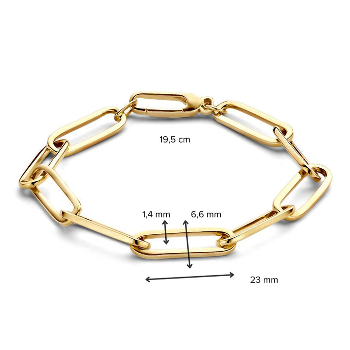 Geelgouden Armband met Paperclip Schakel, 14 Karaat, 6,3 gr, 19 cm