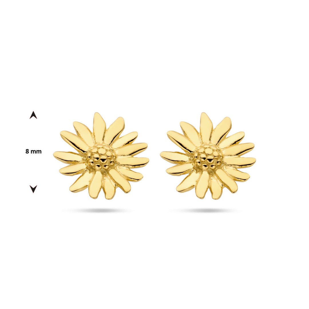 Van der Kooij Collectie oorknoppen madeliefje 1 micron zilver verguld (geel), kleine goudkleurige oorbellen van 8 mm in diameter, afgebeeld op een witte achtergrond. Perfect voor dames sieradencollecties.