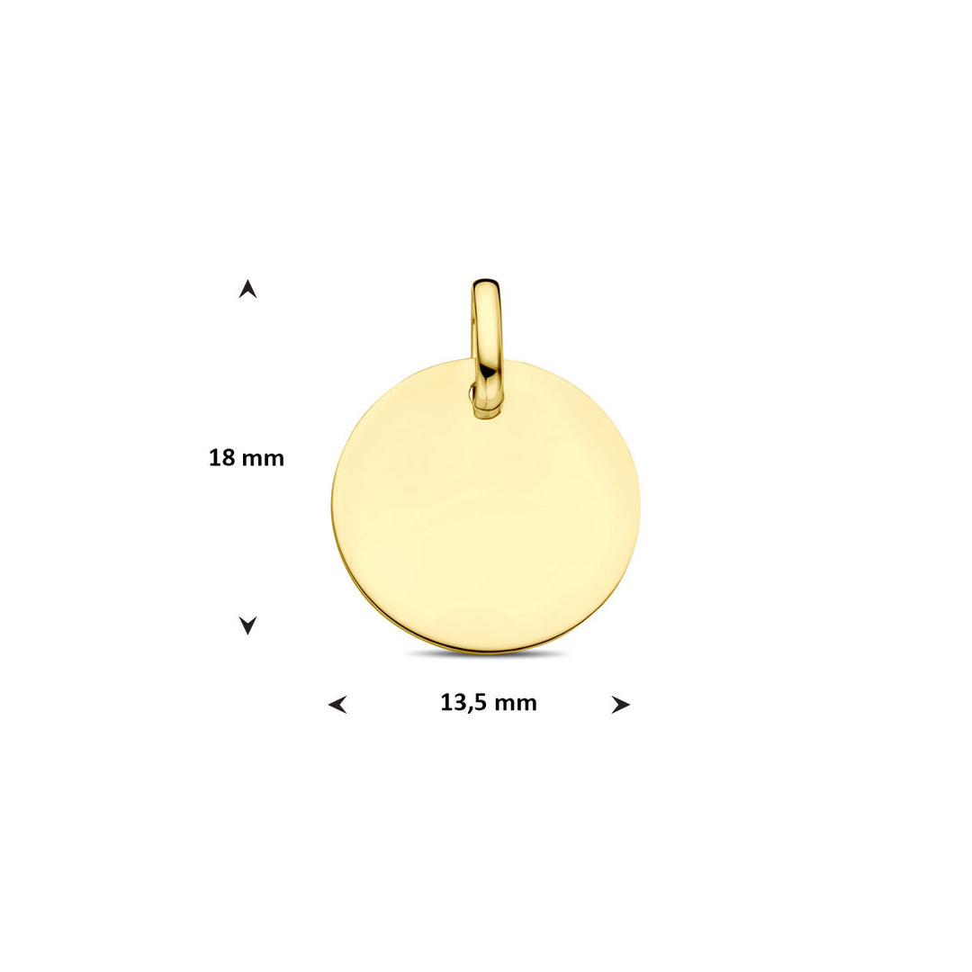 Geelgoudkleurige graveerhanger rond – 9k