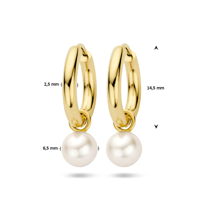 Tropfenohrringe Perle 14K Gelbgold