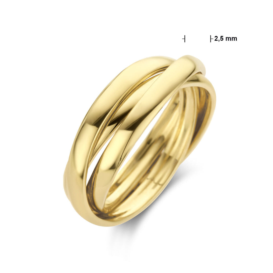 De Van der Kooij Collectie trinity ringen 14K geelgoud bestaat uit drie gepolijste in elkaar grijpende banden van 2,5 mm, waardoor een elegante damesring ontstaat die prachtig uitkomt tegen een witte achtergrond.