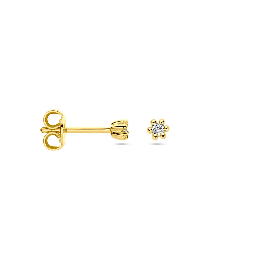 Ohrstecker Diamant 0,04 ct (2x 0,02 ct) h p1 14K Gelbgold