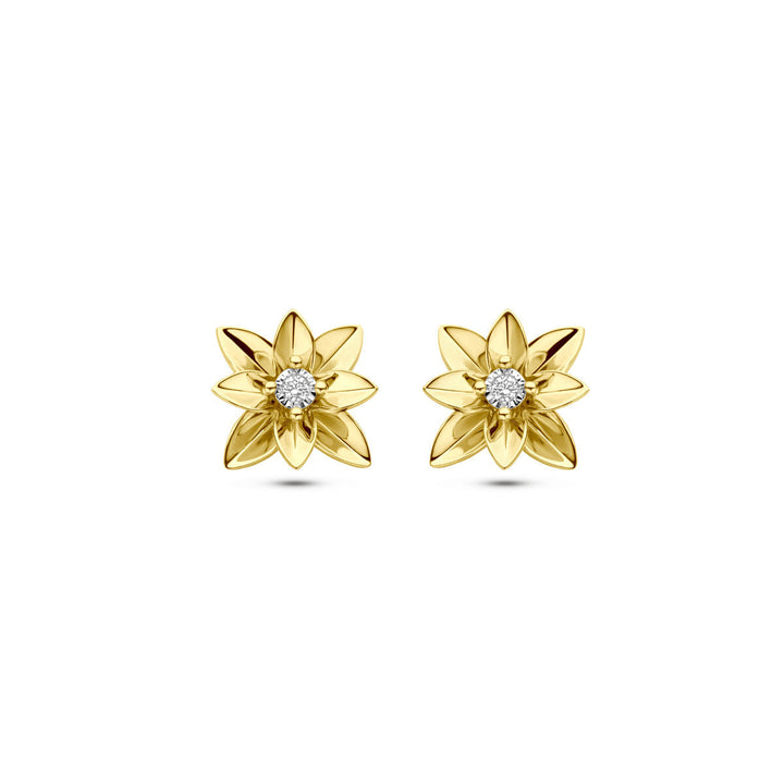 oorknoppen diamant 0.03ct (2x 0.015ct) h si 12 mm 14K bicolor goud geel/wit