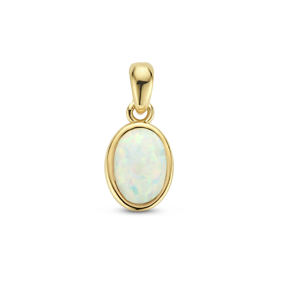 De Van der Kooij Collectie hanger wit opaal 14K geelgoud is een ovaalvormige hanger met witte opaal en iriserende tinten, gezet in een gladde goudzetting.