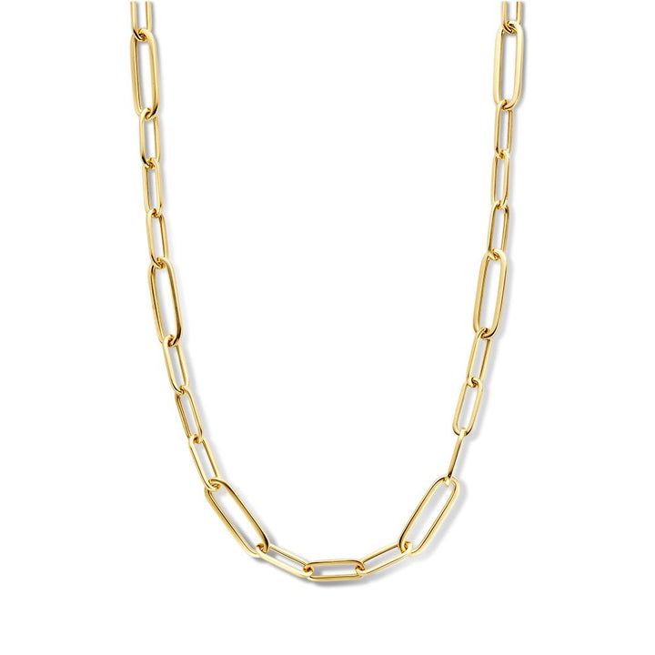 14K Geelgouden Collier met Luxe Karabijnsluiting – Elegant Sieraad voor Dames